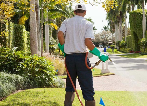 About Williamston MI Pest Control